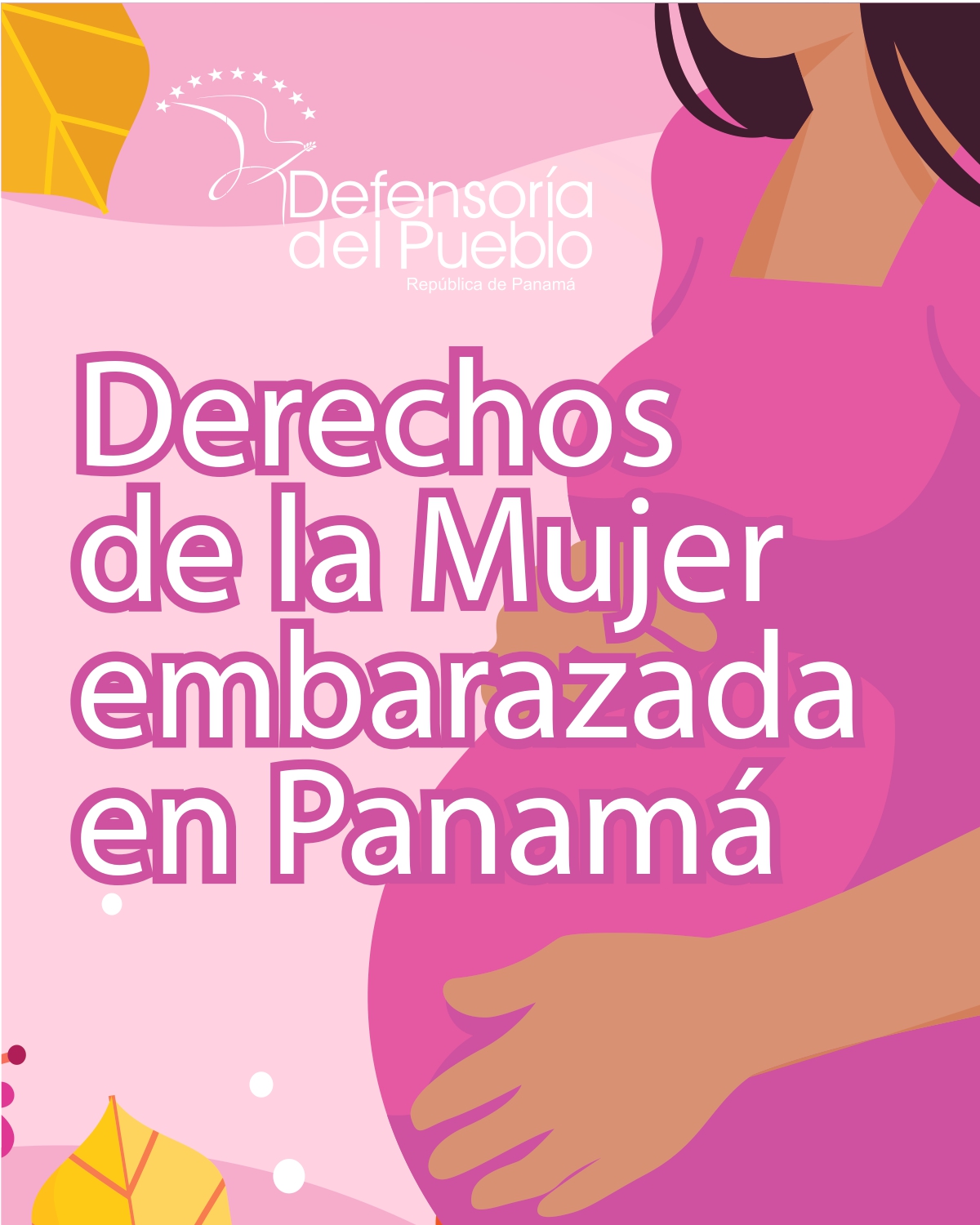 No hay una imagen disponible
